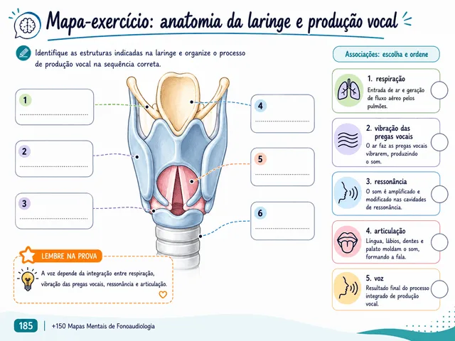 Mindmap Larynxanatomie en Stemproductie
