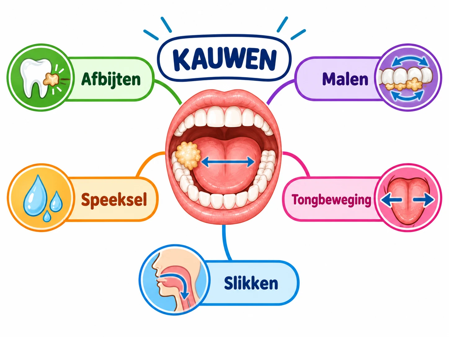 Mindmap Kauwen